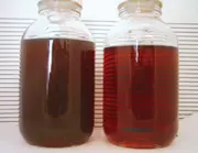 Cutting Oil Samples Before and After Treatment